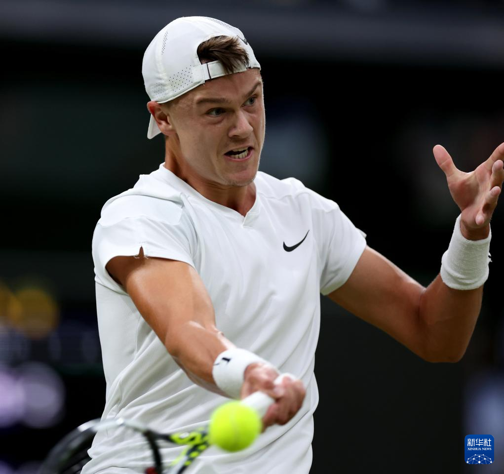 大力沉的头 大力沉的头